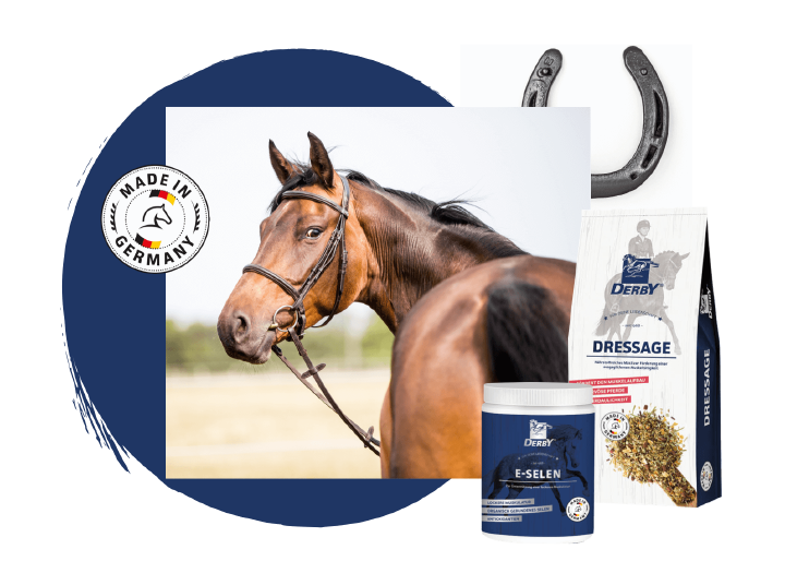 teaser derby made in germany pferdefutter teaser derby made in germany pferdefutter